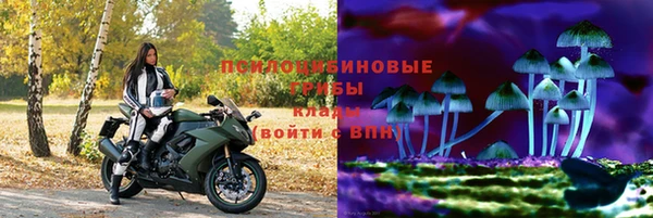 марки nbome Богданович