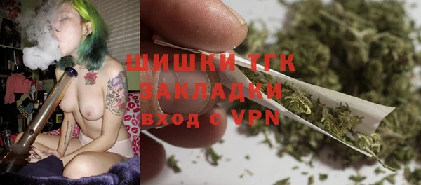 крисы Богородск