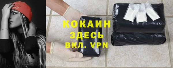 мескалин Богородицк