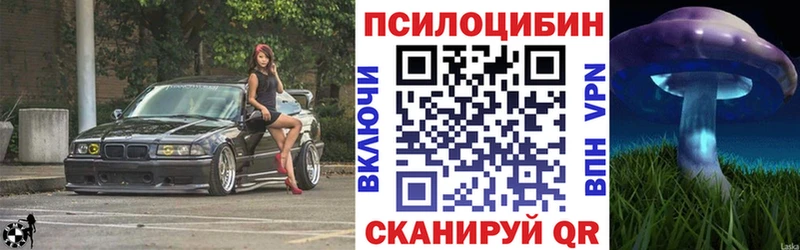 Галлюциногенные грибы Psilocybe  купить наркотик  blacksprut вход  Миасс 